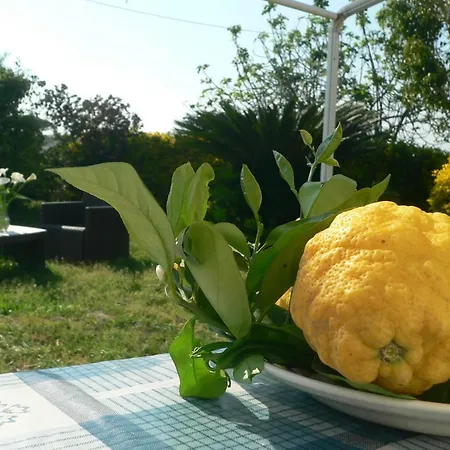 Apartmán Il Giardino Sul Porto Procida