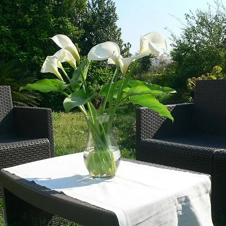 Il Giardino Sul Porto Apartmán *